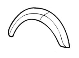 PARTSCOLLECTOR  Car body code 835 compatible with: FIAT 500