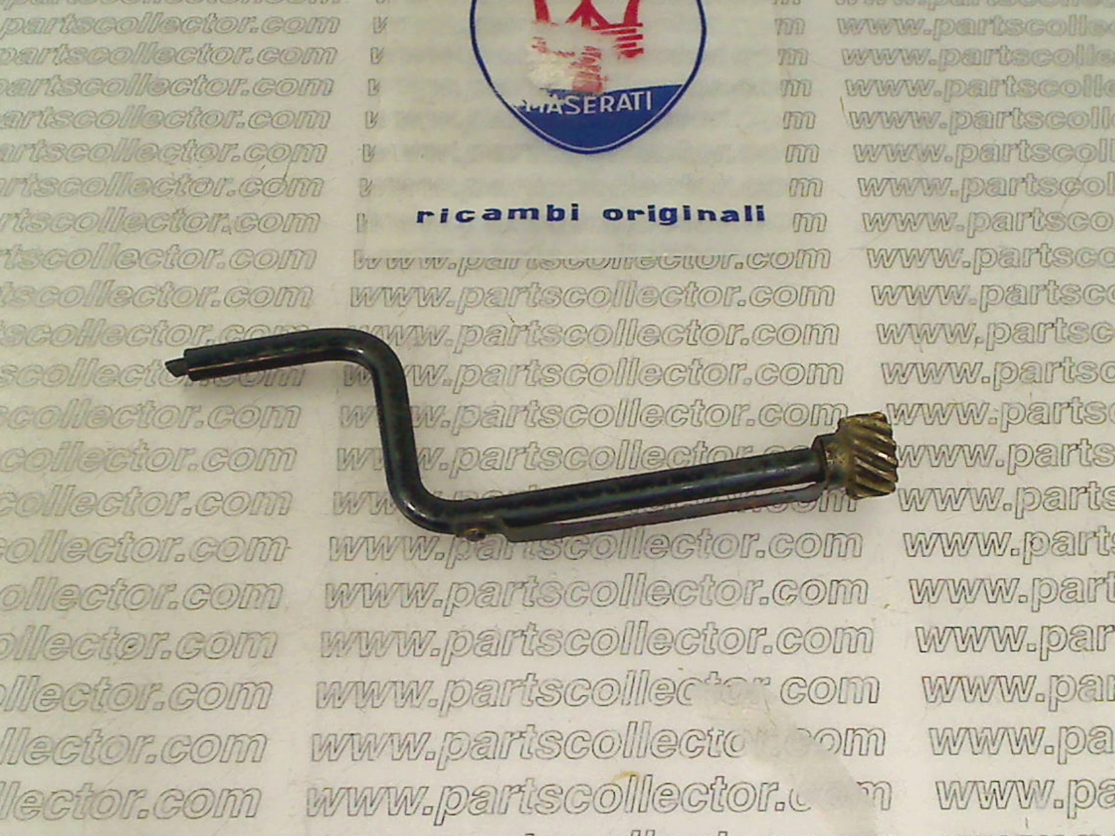 MASERATI  Accessories  - Automobilia code 19353 compatible with: MASERATI KHAMSIN AM120 - detail view