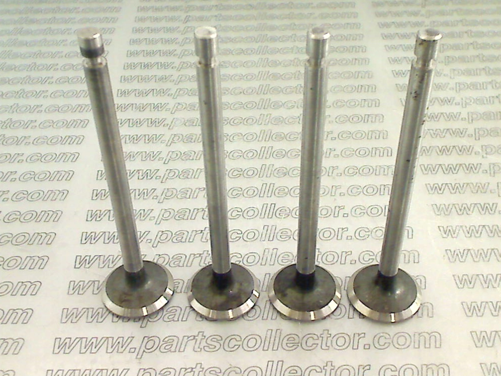 LIVIA  Engine code 12016 compatible with: FIAT 508