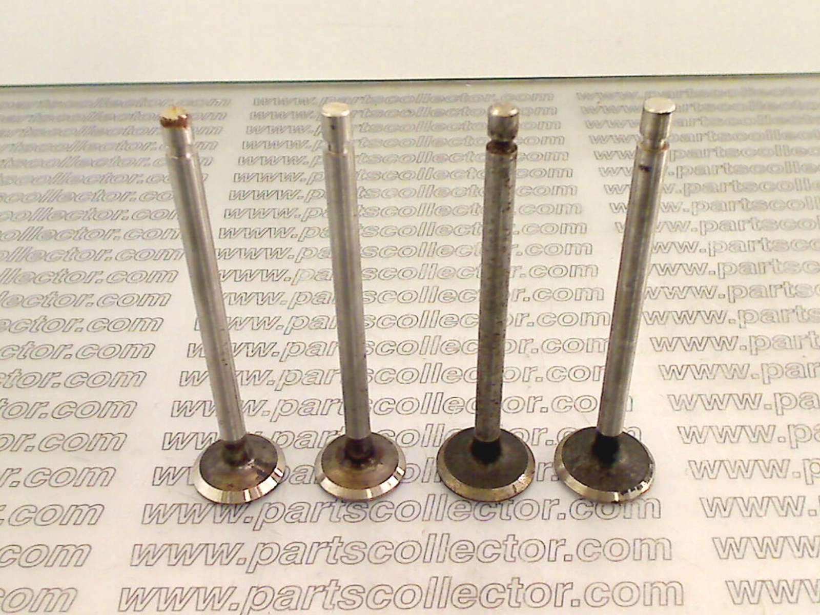 LIVIA  Engine code 12021 compatible with: FIAT 508