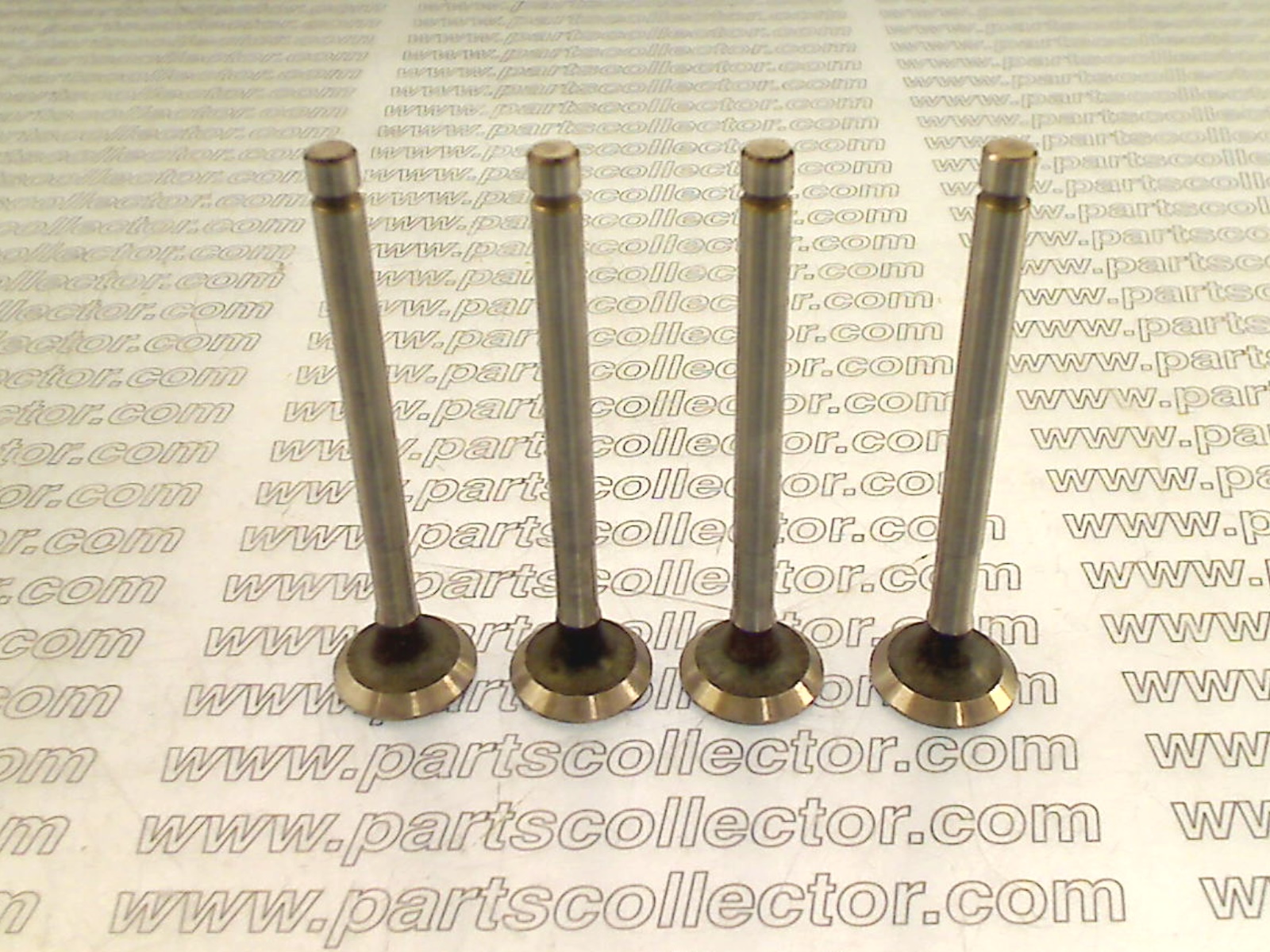 VOLVERA  Engine code 12028 compatible with: FIAT 600