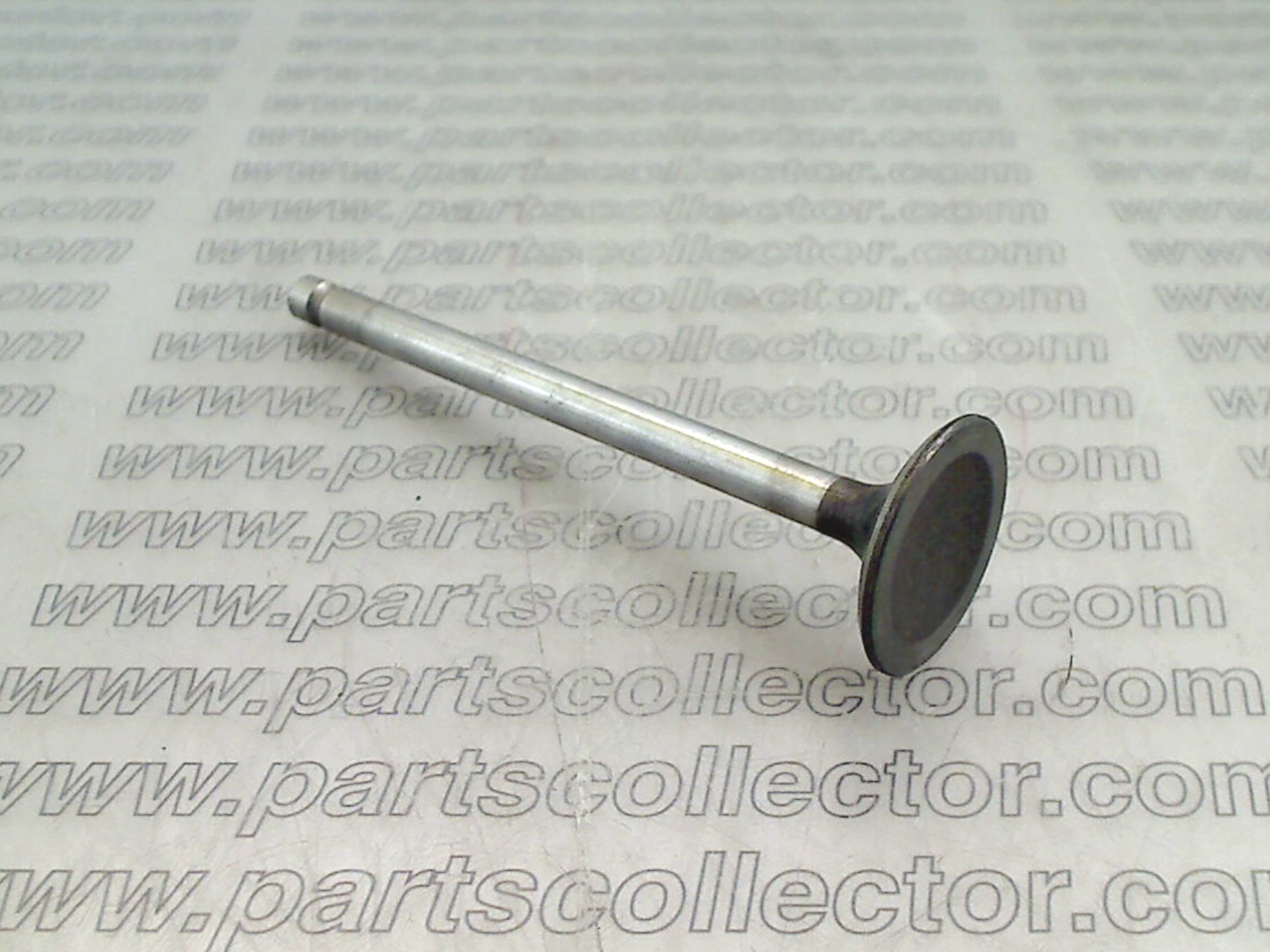 MASERATI 310653451 - 571031900 Engine code 14831 compatible with: MASERATI BITURBO, MASERATI GHIBLI 2.8 V6, MASERATI QUATTROPORTE 2.8 V6, MASERATI QUATTROPORTE 3.2 V8