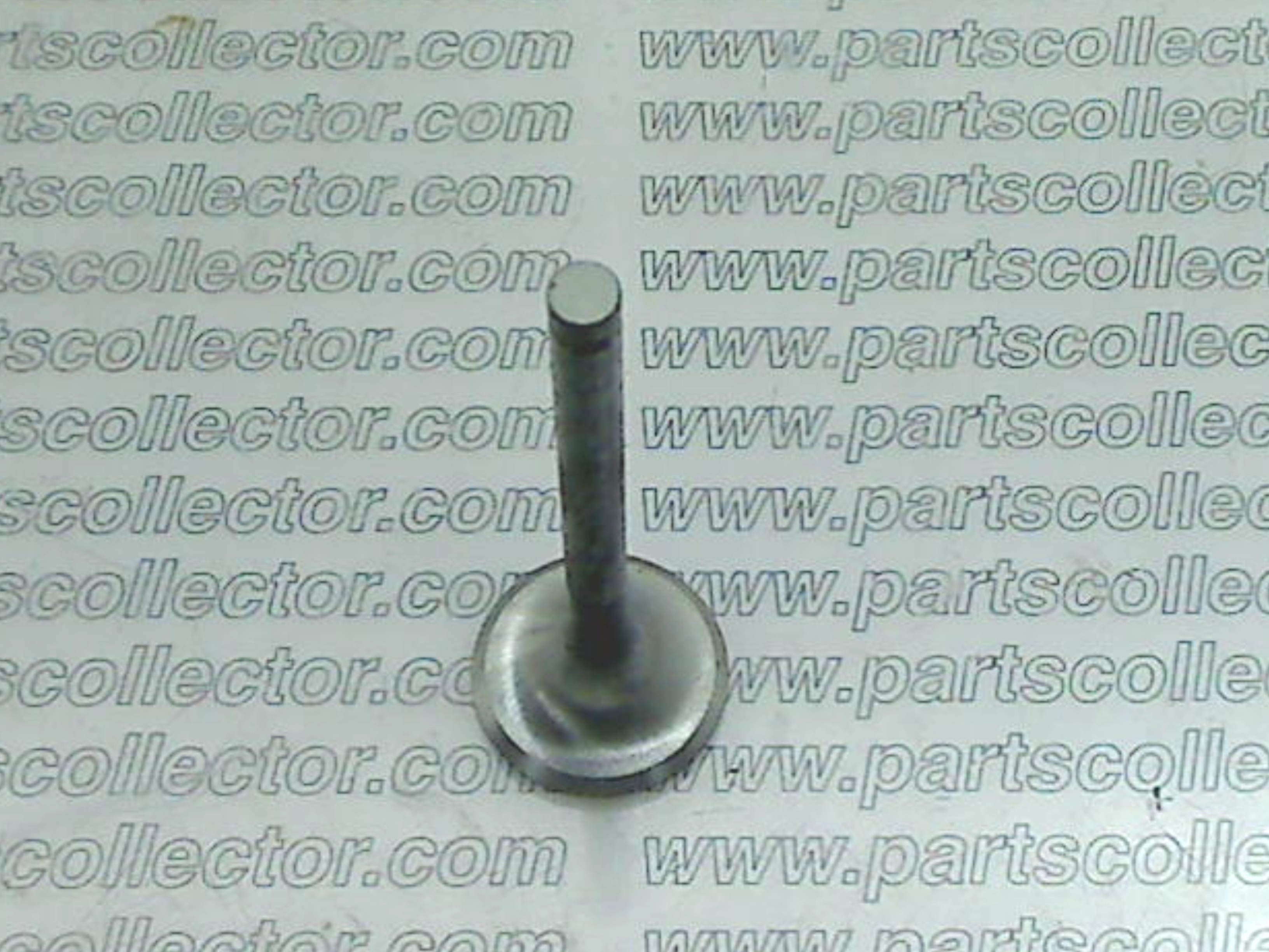 LAMBORGHINI 001210717     1210717 Engine code 18404 compatible with: LAMBORGHINI JALPA, LAMBORGHINI URRACO P300 - additional view