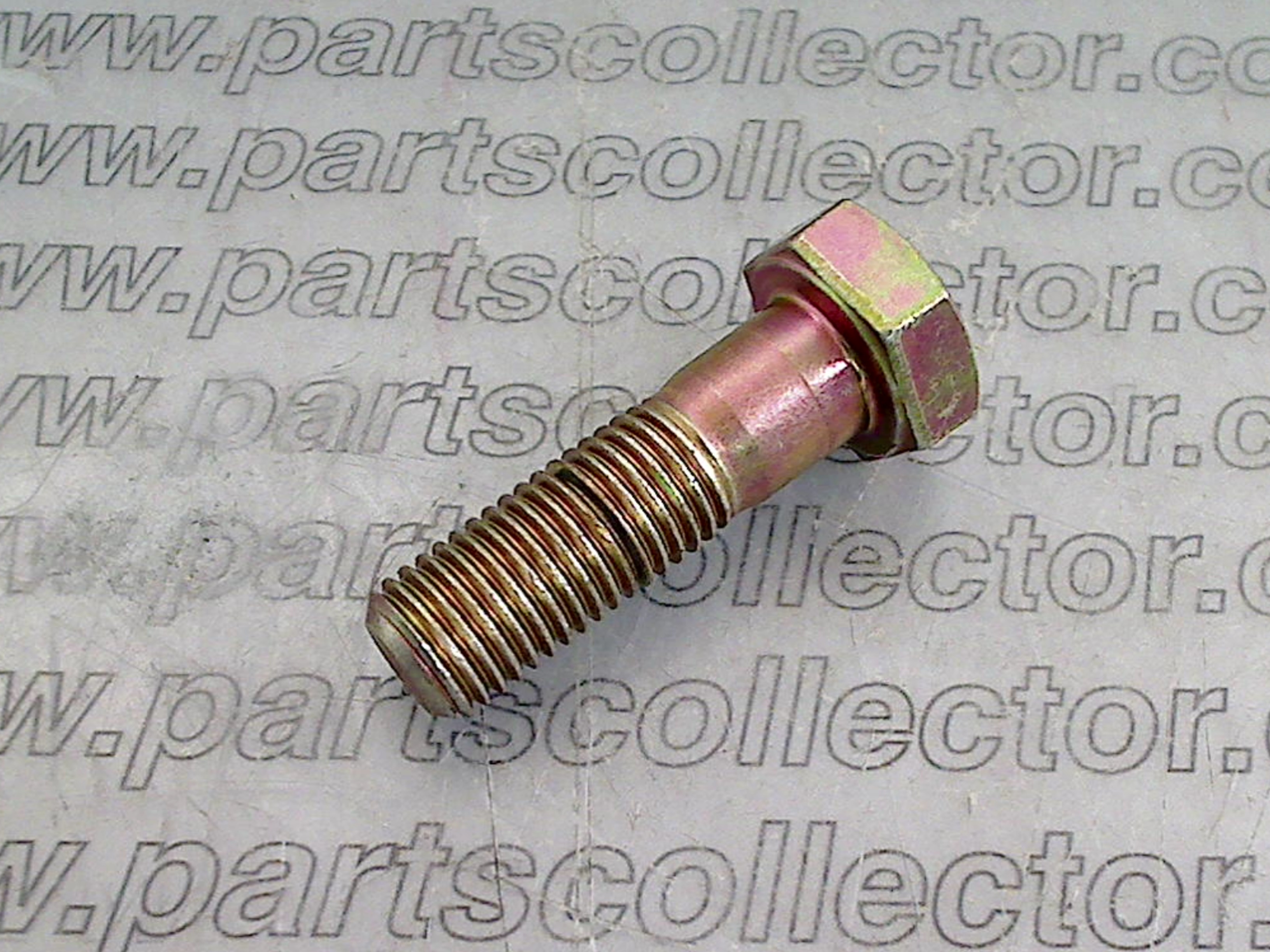 FRONT BRAKE CALIPER BOLT