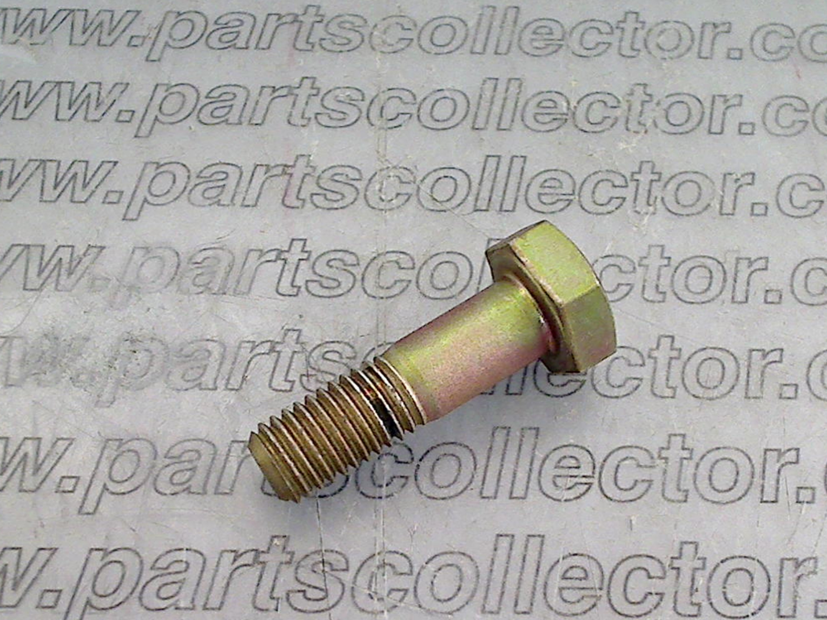 REAR BRAKE CALIPER BOLT