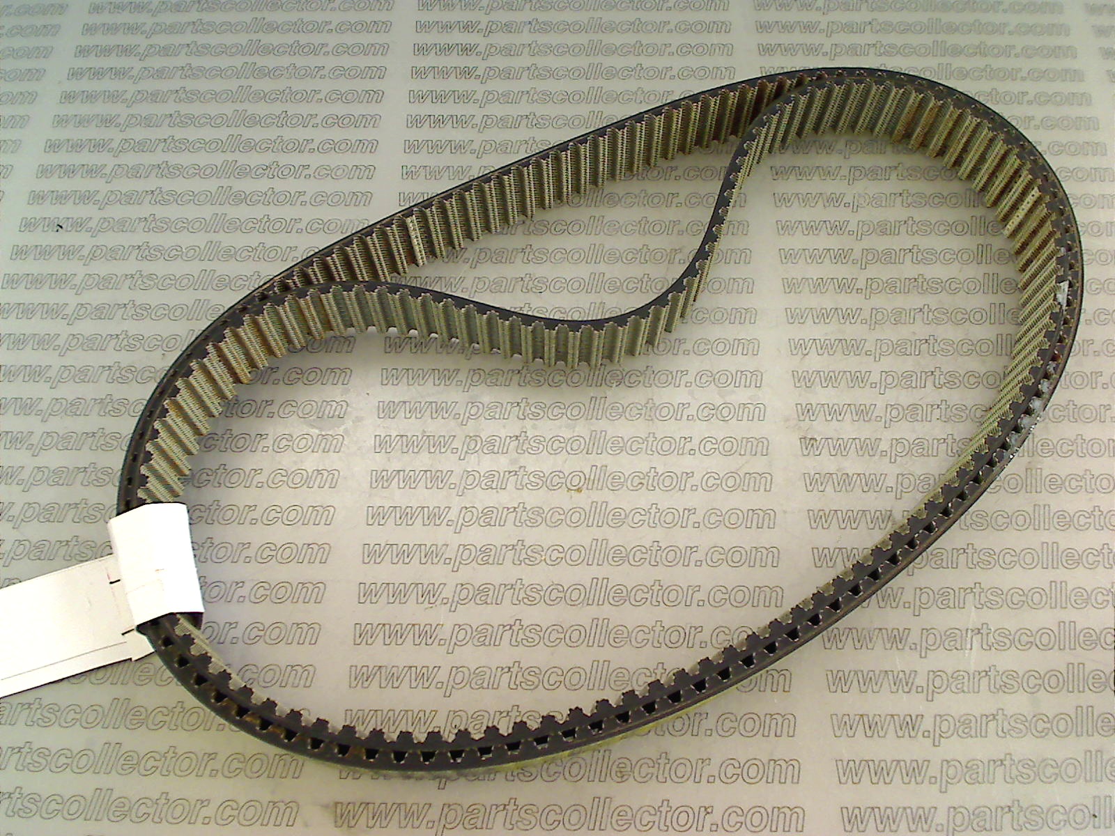 PAIR OF TIMING BELTS  