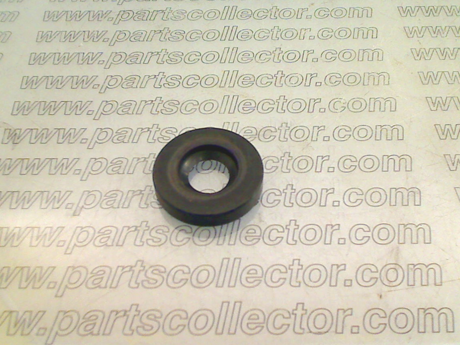 PARAOLIO