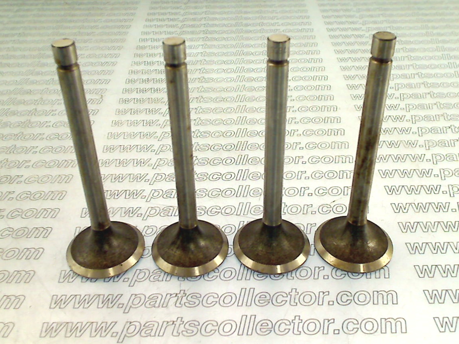 EXHAUST VALVE KIT