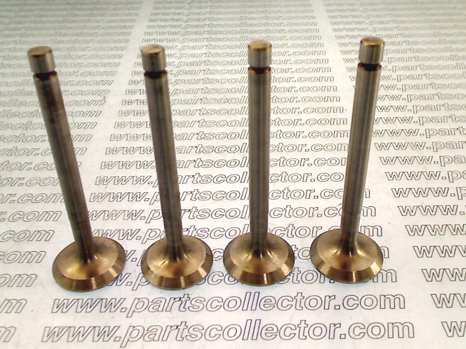 EXHAUST VALVE KIT