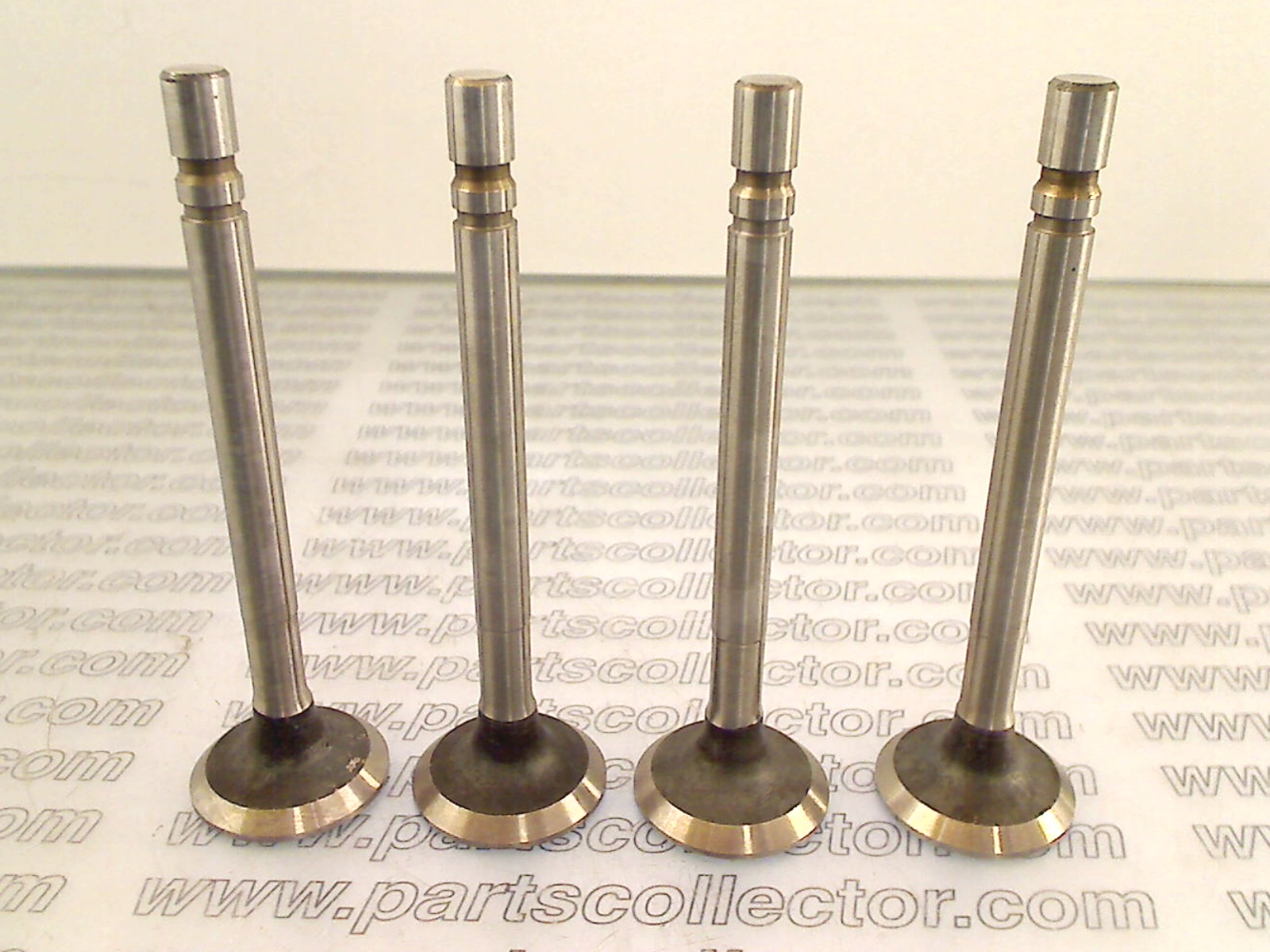 EXHAUST VALVE KIT