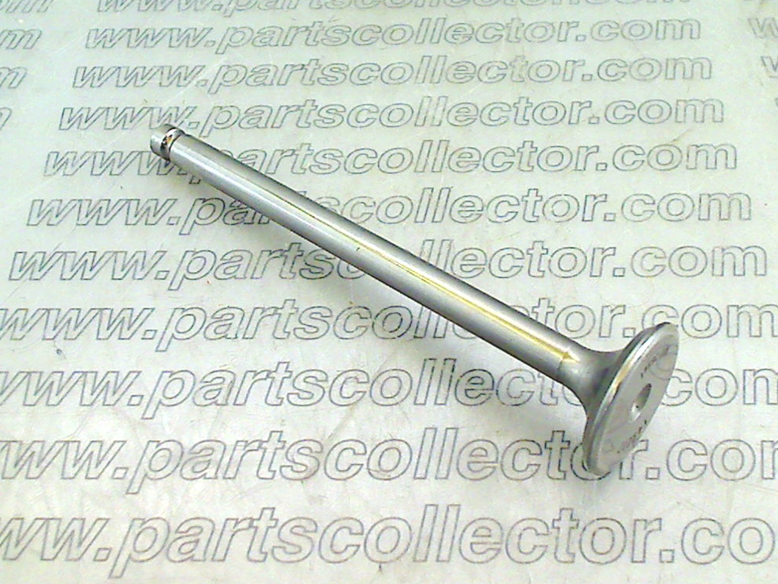 EXHAUST VALVE