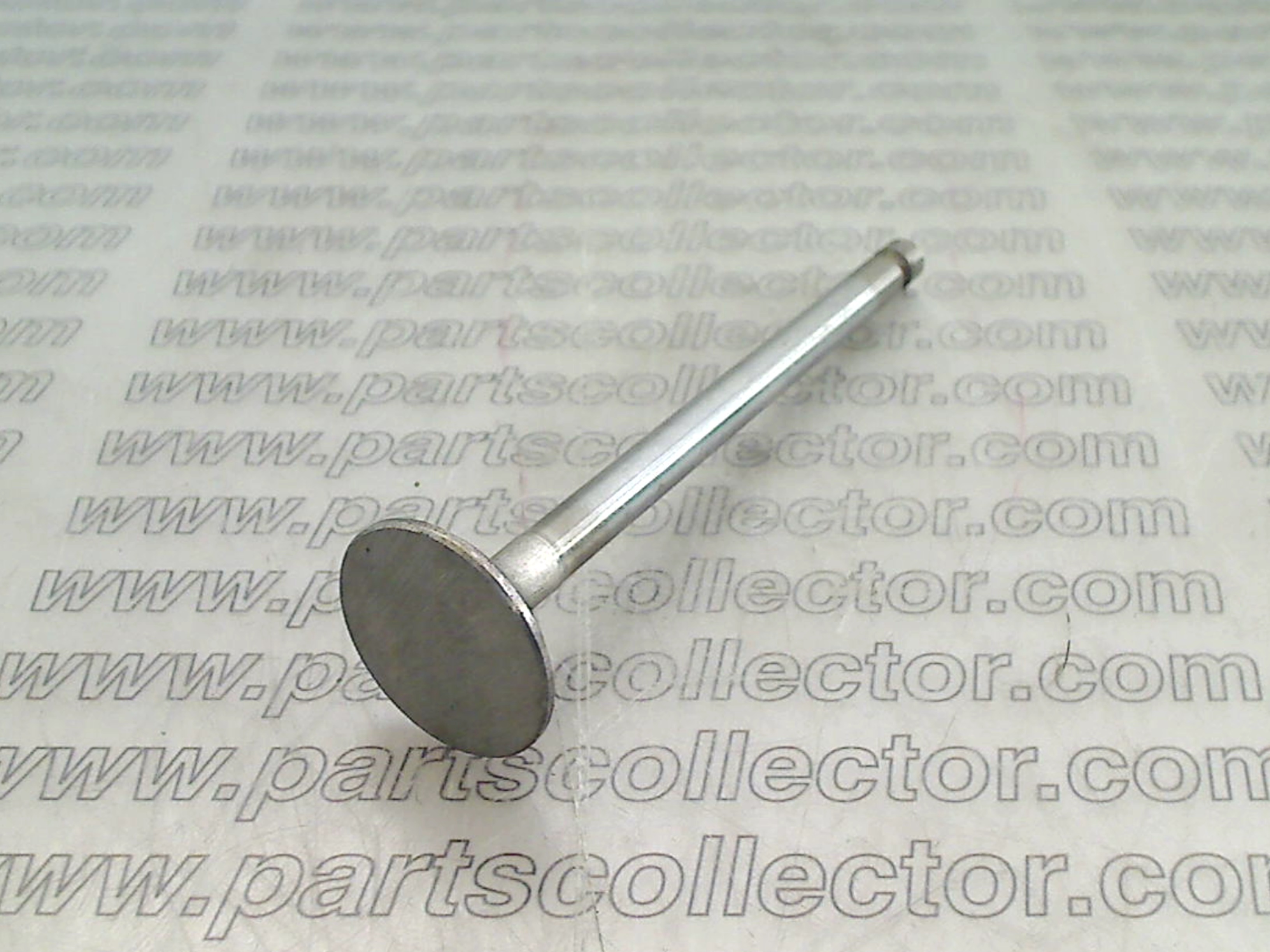 EXHAUST VALVE